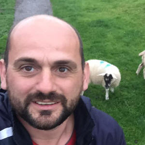 bringing in the sheep