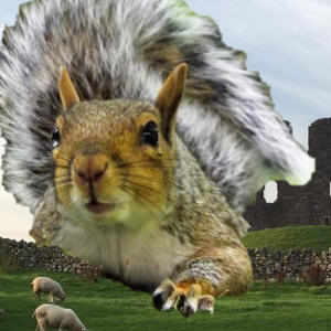Igiant squirrel attacks brough castle