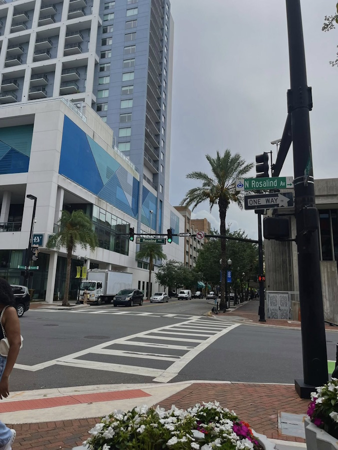 click to see larger images grace three months with kings army in orlando, florida