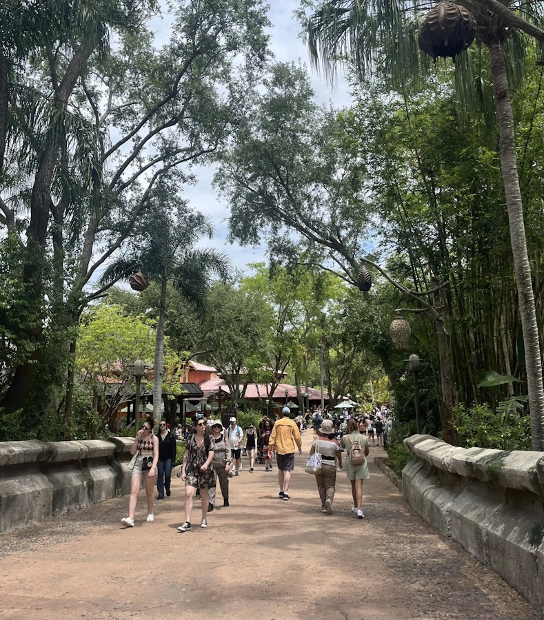 click to see larger images grace three months with kings army in orlando, florida