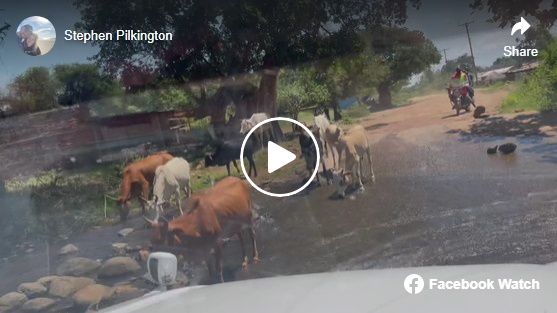 click for video