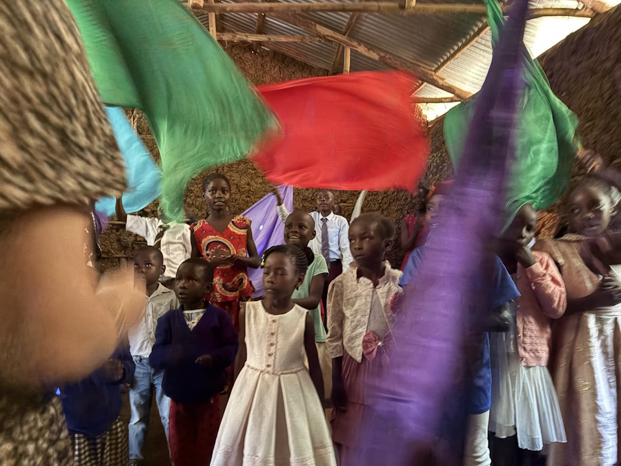 waving flags
