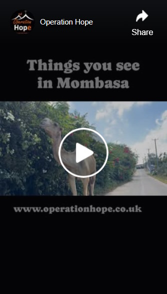 things you see in mombasa