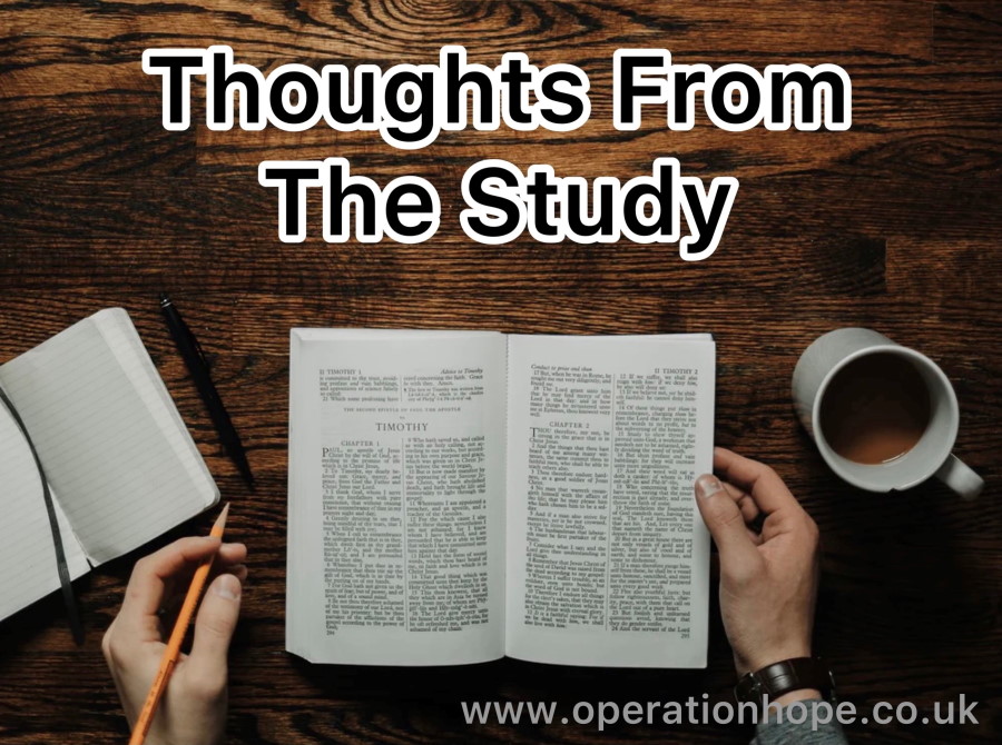 thoughts from the study
